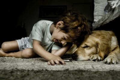 young child playing with a dog