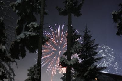 Fireworks behind snowy trees.