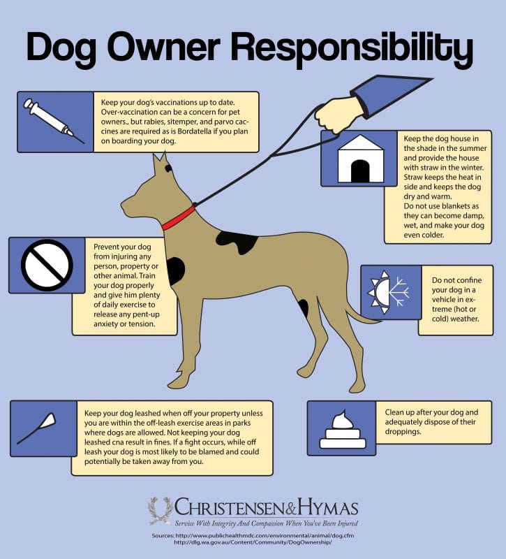 Dog Responsibility infographic