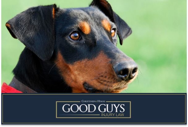 How Often Do Dogs Need Rabies Shots in Utah | Good Guys Injury Law