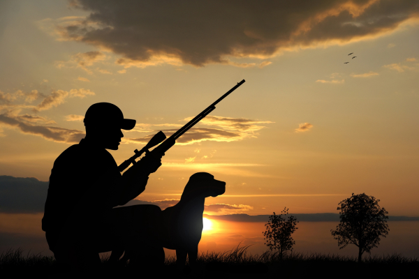 The top causes of hunting accident: what to know