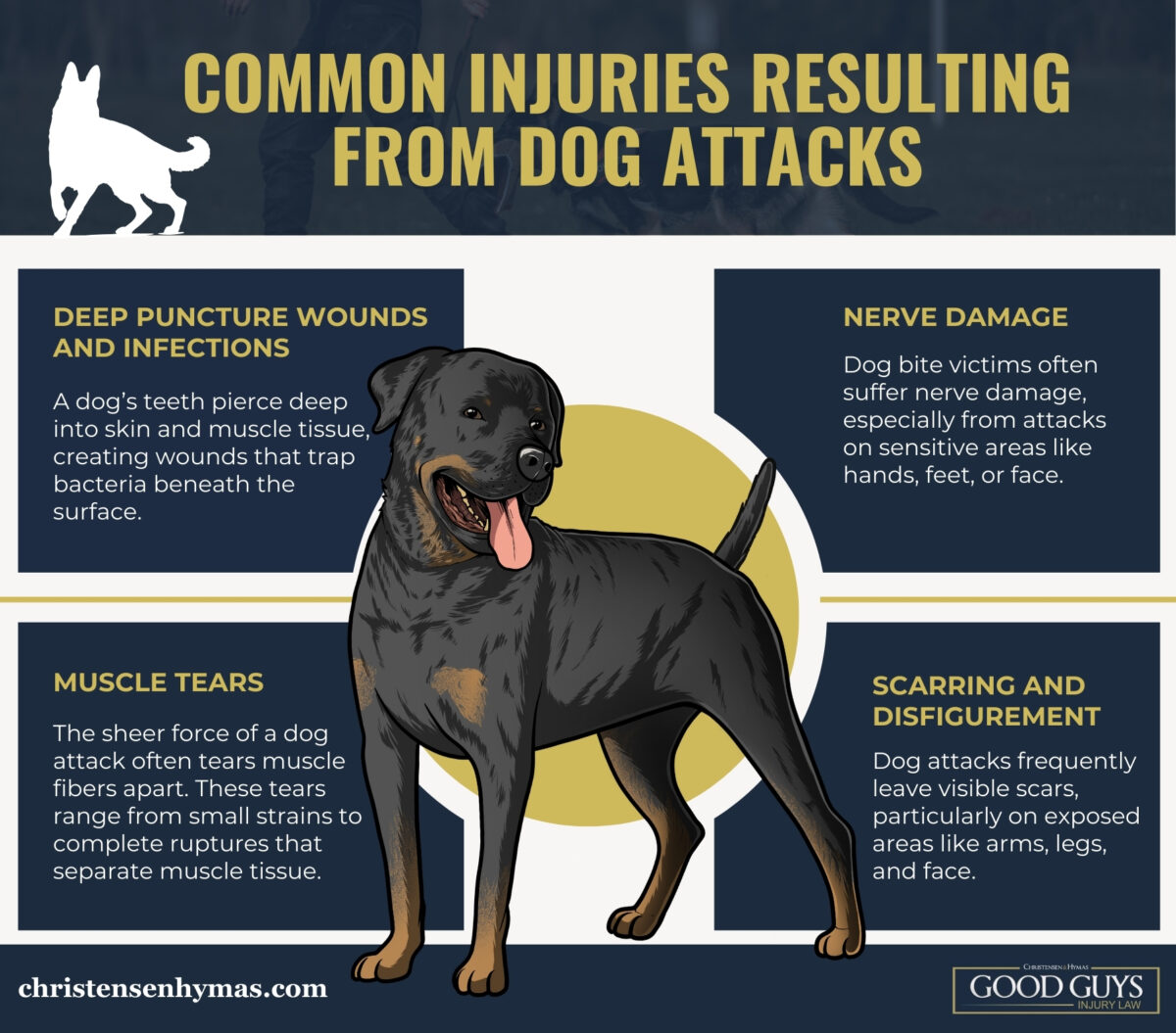 Common Injuries Resulting From Dog Attacks