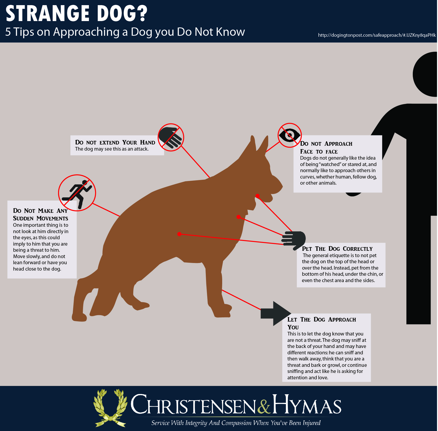 Infographic sharing tips on how to approach a strange dog