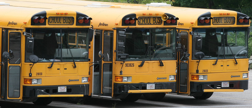 school busses